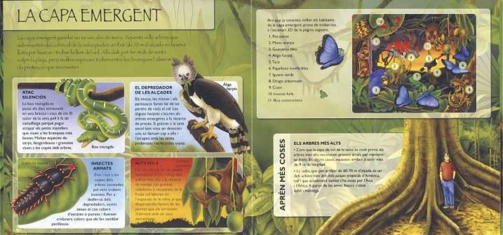 Animals de la selva 3D