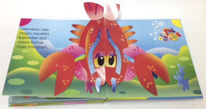 Nire itsasoko lagunak