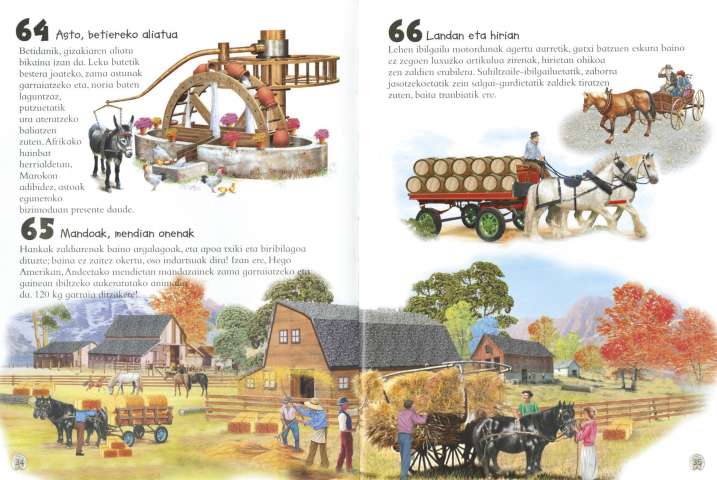 101 gauza buruz jakin...