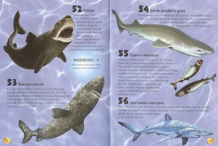 101 gauza buruz jakin...