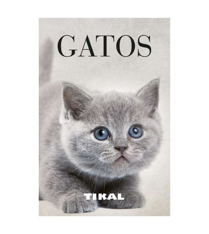 Gatos
