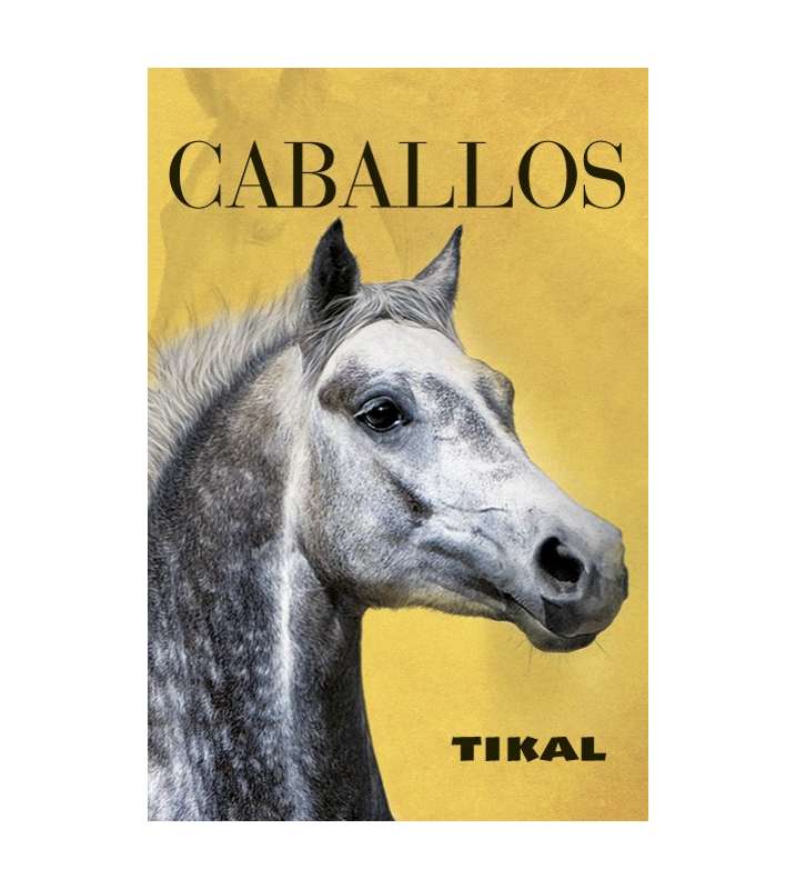Caballos