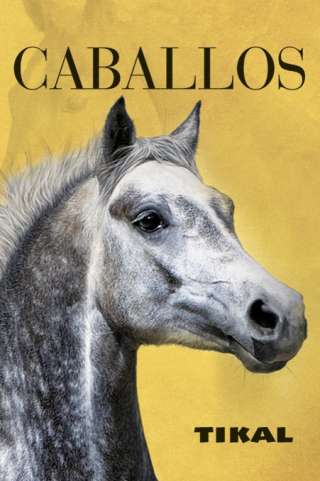 Caballos
