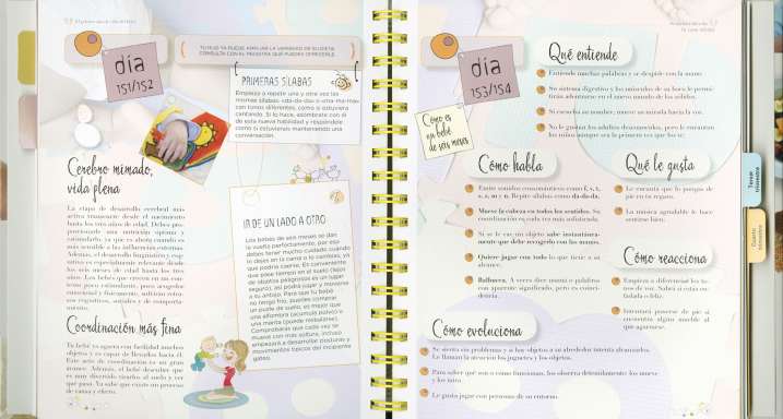 El primer año de vida del bebé