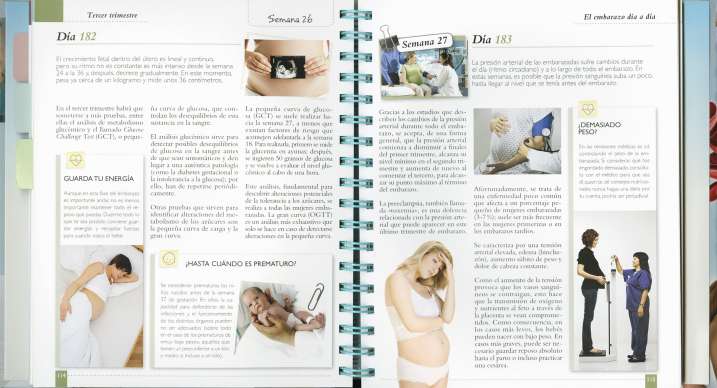 Embarazo día a día