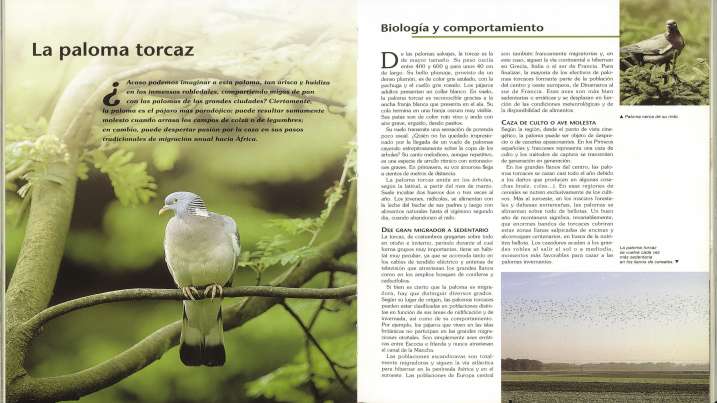 Enciclopedia de la caza