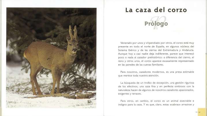 Enciclopedia de la caza...