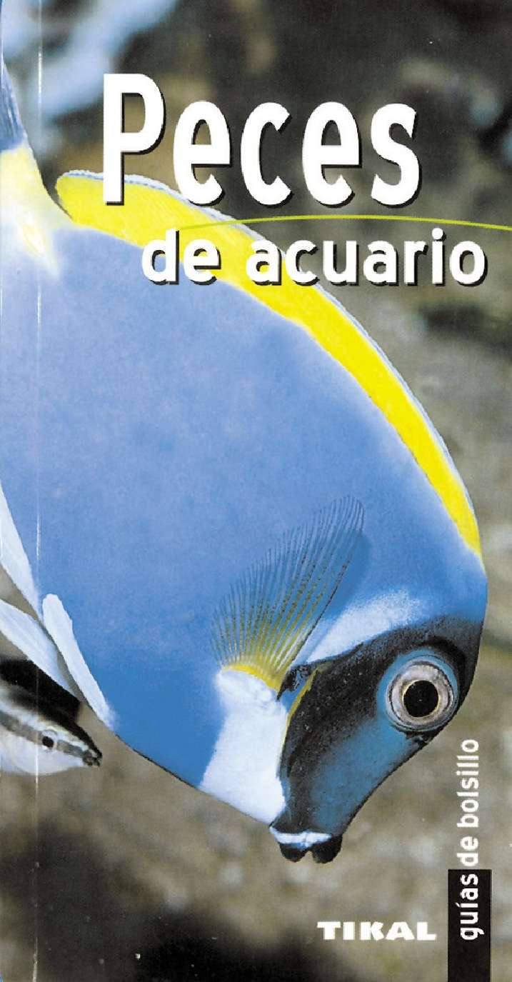 Peces de acuario