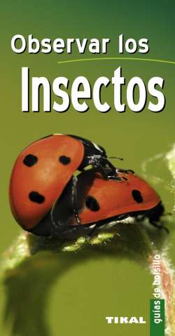 Observar los insectos
