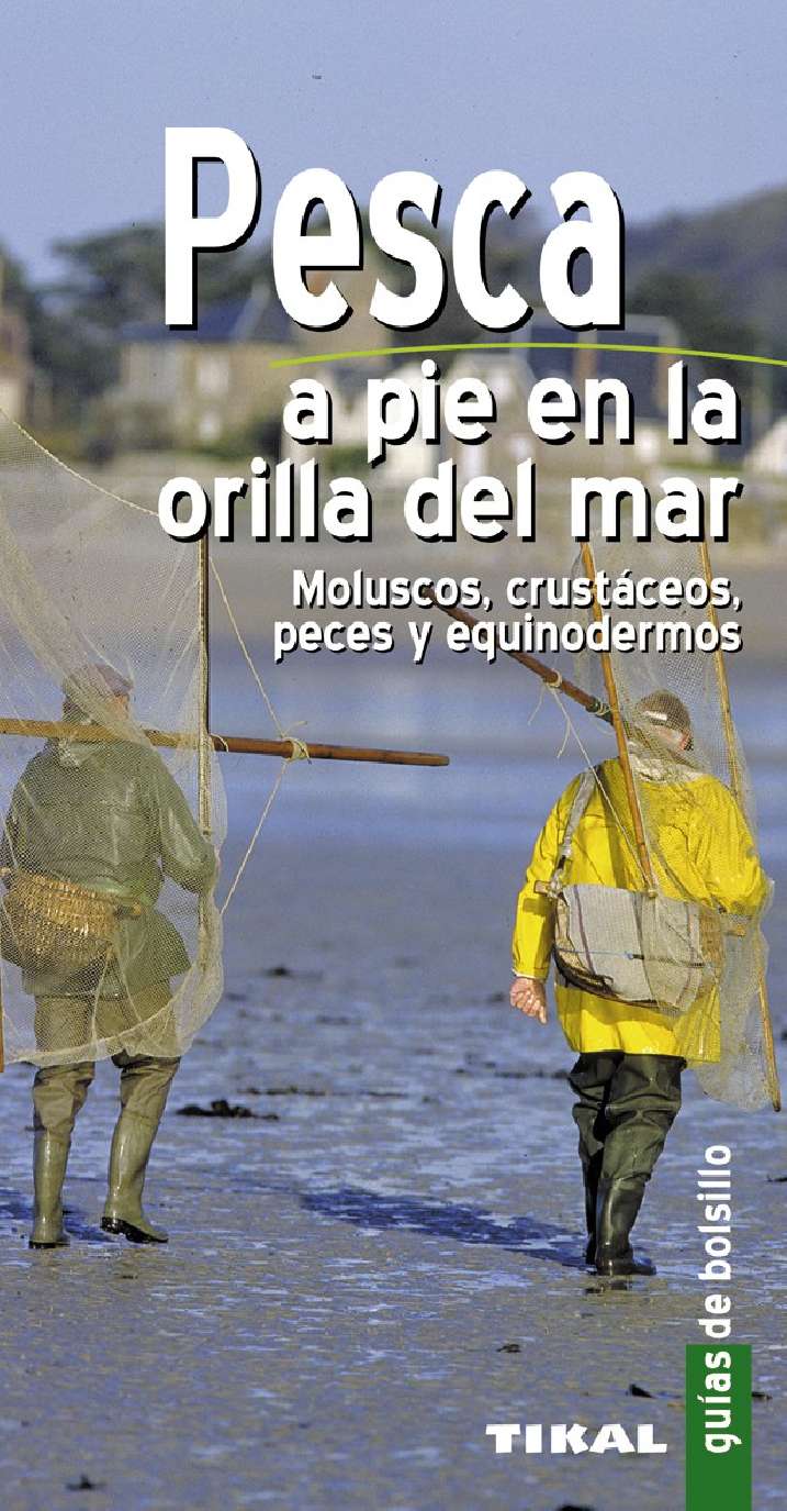 Pesca a pie en la orilla...
