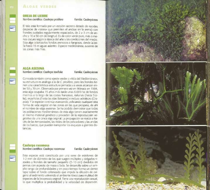 Pesca a pie en la orilla...