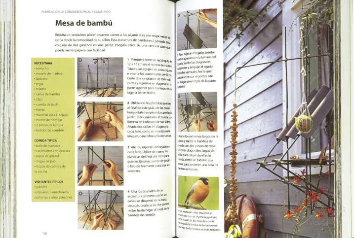 Guía para atraer a las aves...