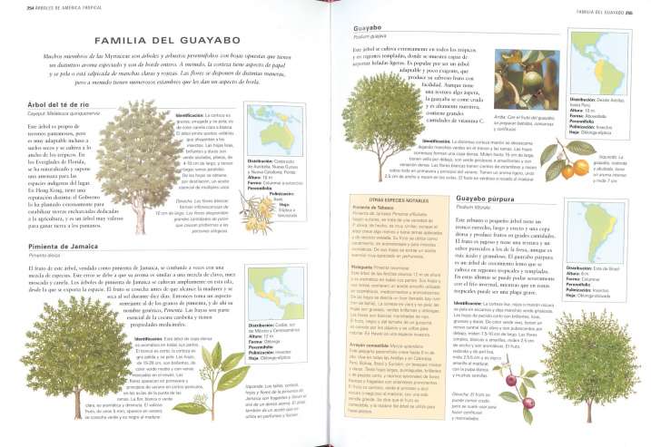 Árboles de España y del mundo