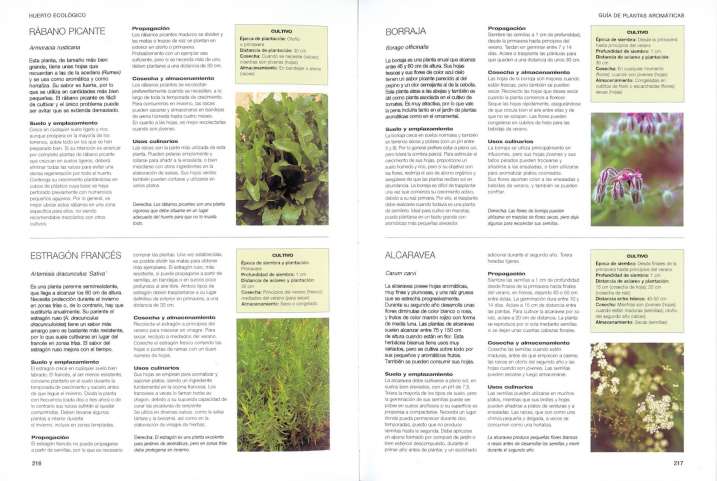 Huerto ecológico. Cocina...