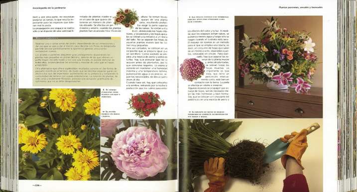 Enciclopedia de la jardinería