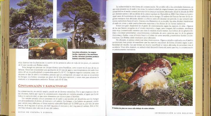 Setas de España y Europa