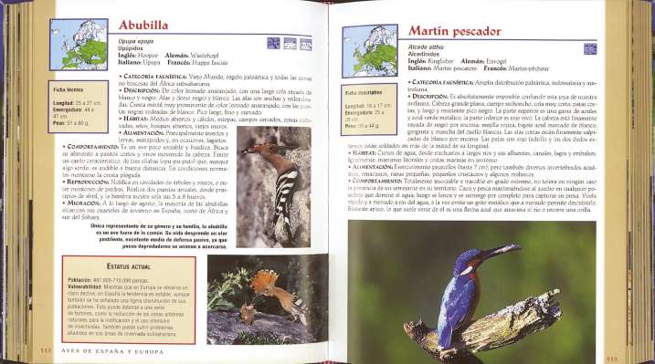 Aves de España y Europa