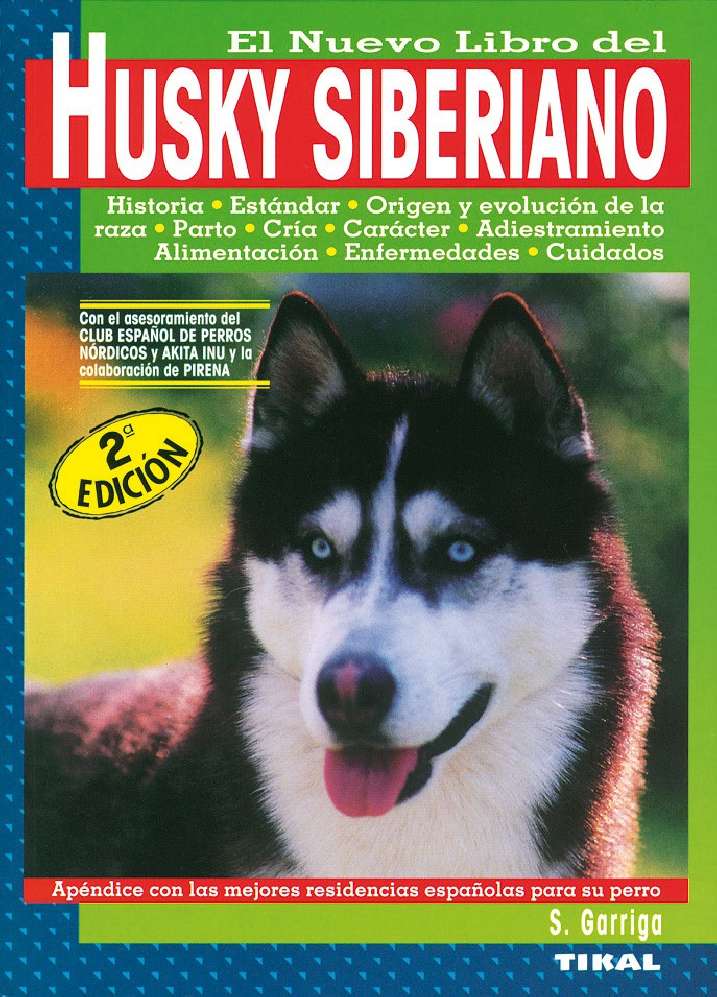 Husky siberiano
