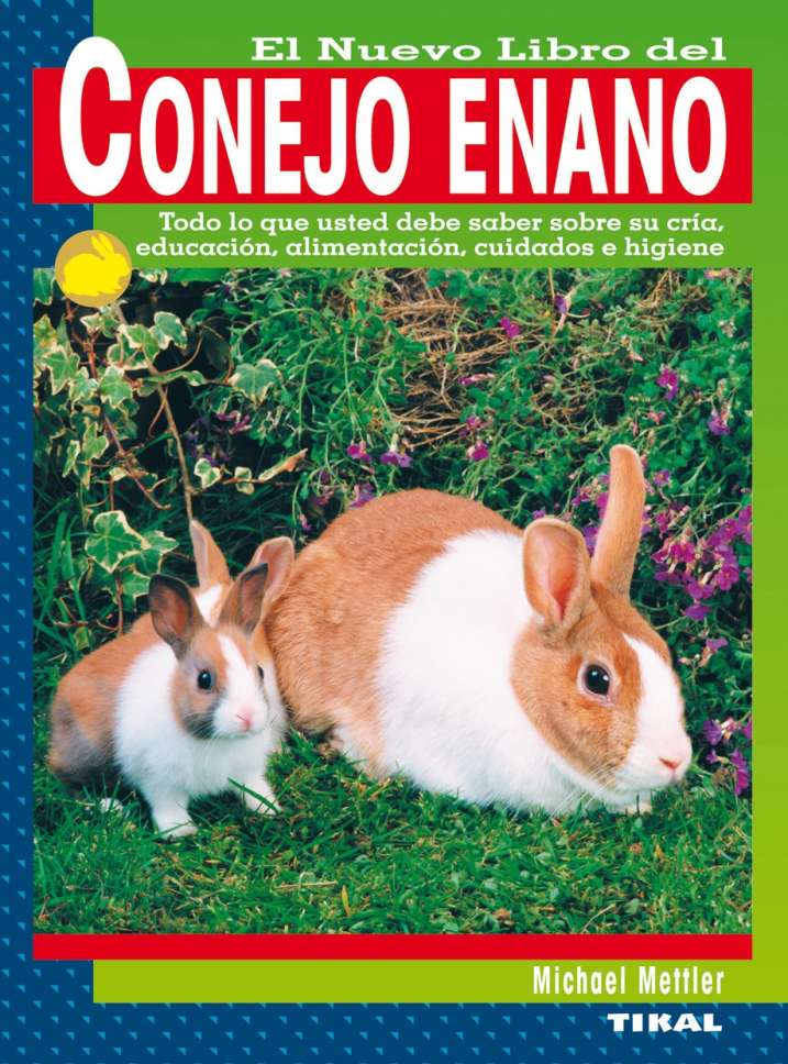 Conejo enano