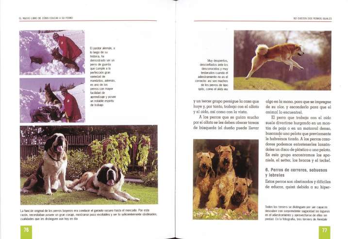 Cómo educar a su perro