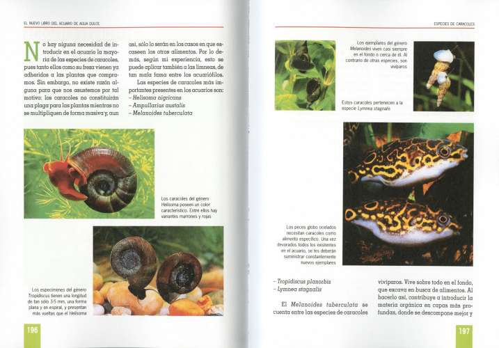 Acuario de agua dulce