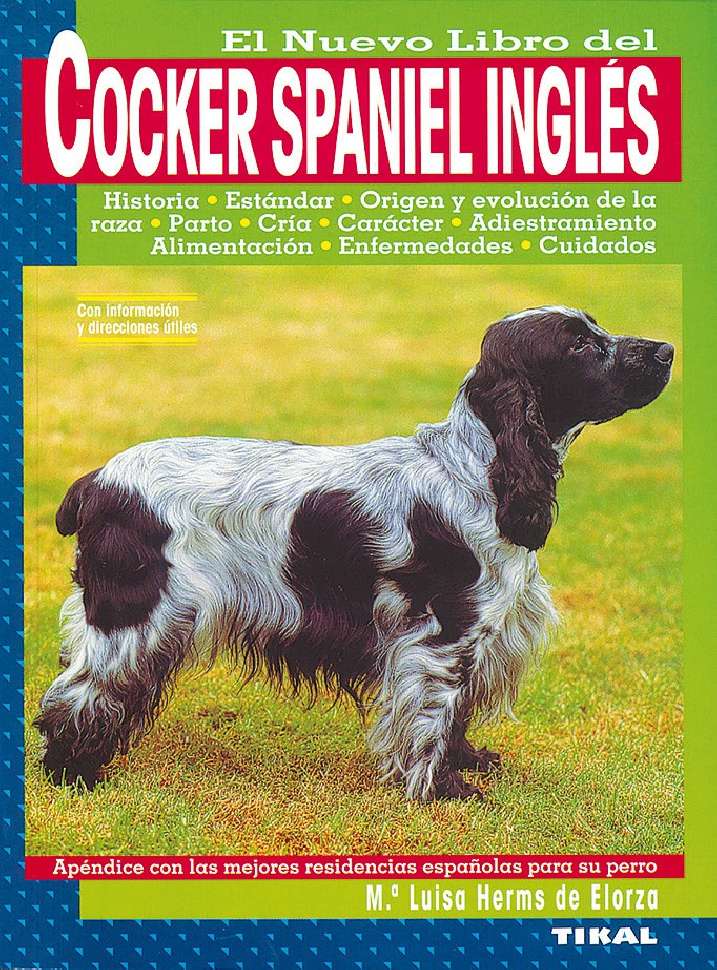 Cocker spaniel inglés