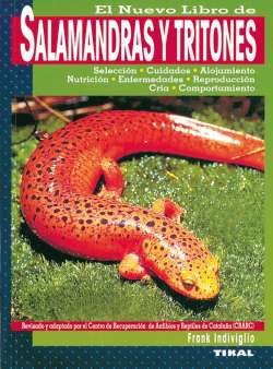 Salamandras y tritones