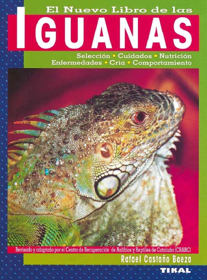 Iguanas