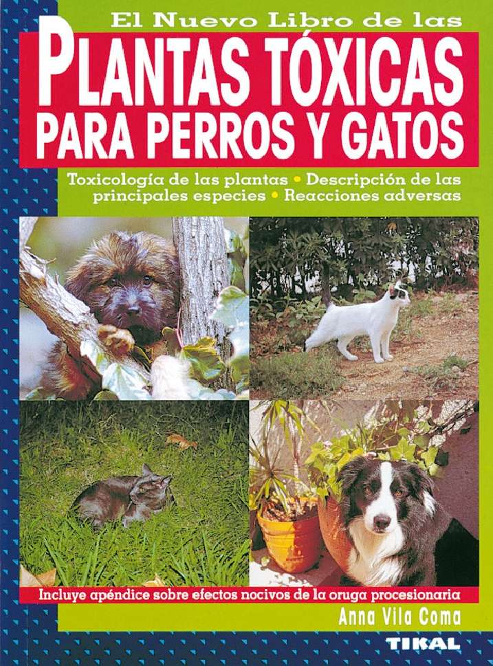 Plantas tóxicas para perros...