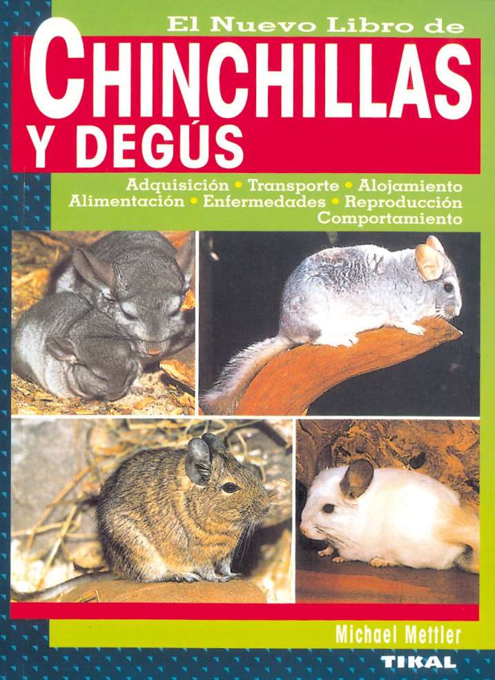 Chinchillas y degús