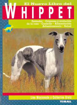 Whippet