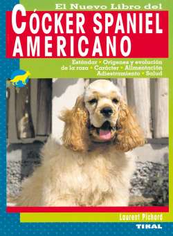 Cócker spaniel americano