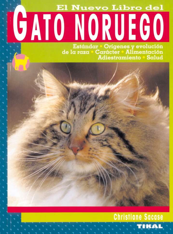 Gato noruego