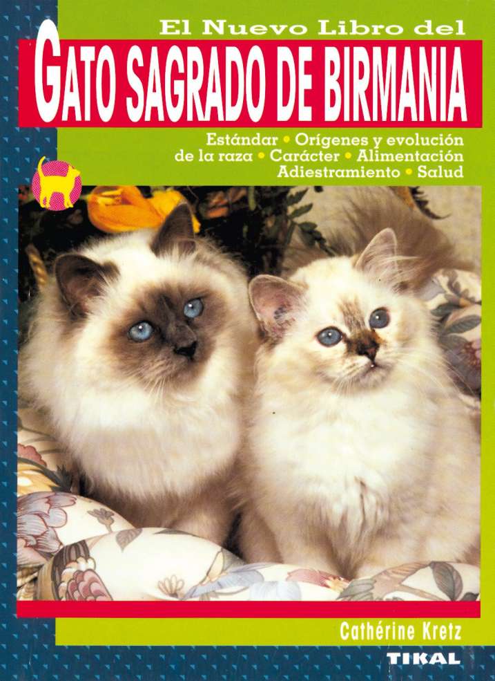 Gato sagrado de Birmania