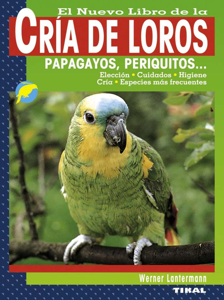 Cría de loros, papagayos,...
