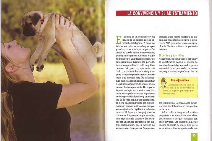 El nuevo libro del Carlino