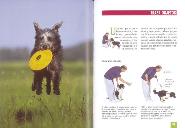 Adiestramiento canino