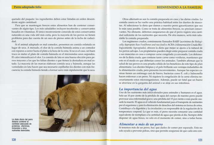 Perro adoptado feliz