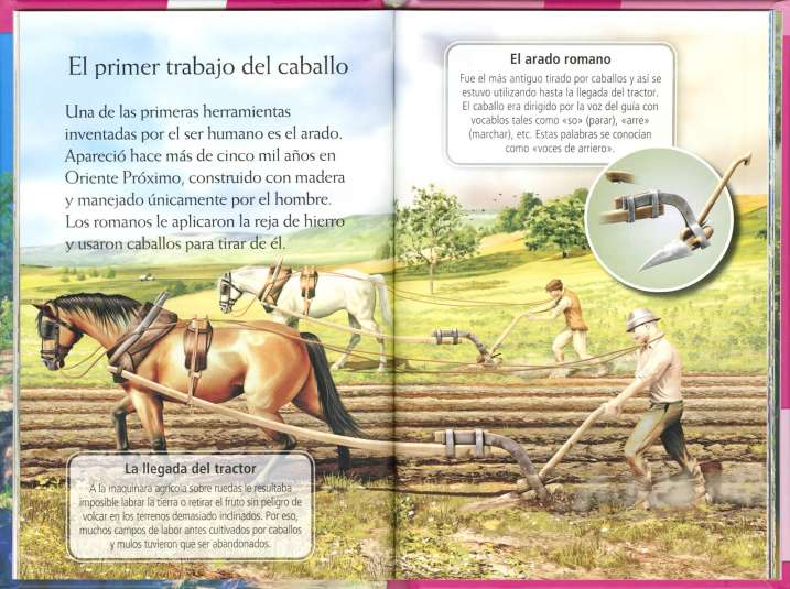 Historias de caballos