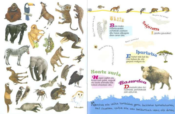 Oihaneko, itsasoko eta...