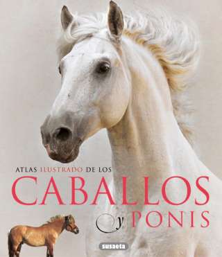 Caballos y ponis