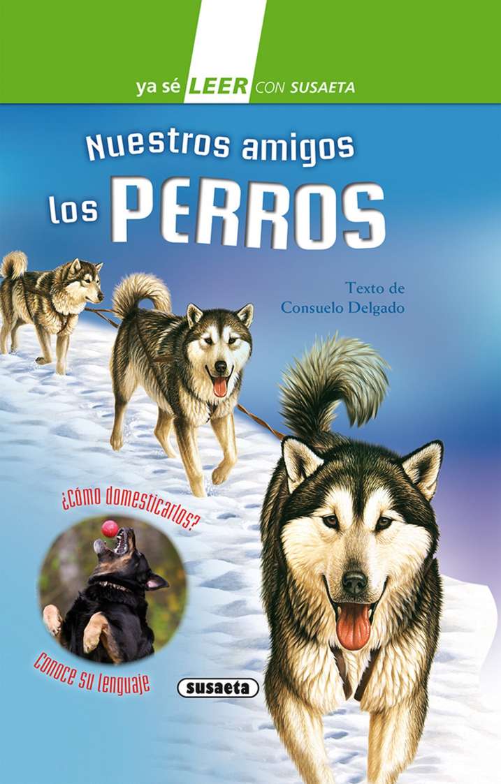 Nuestros amigos los perros