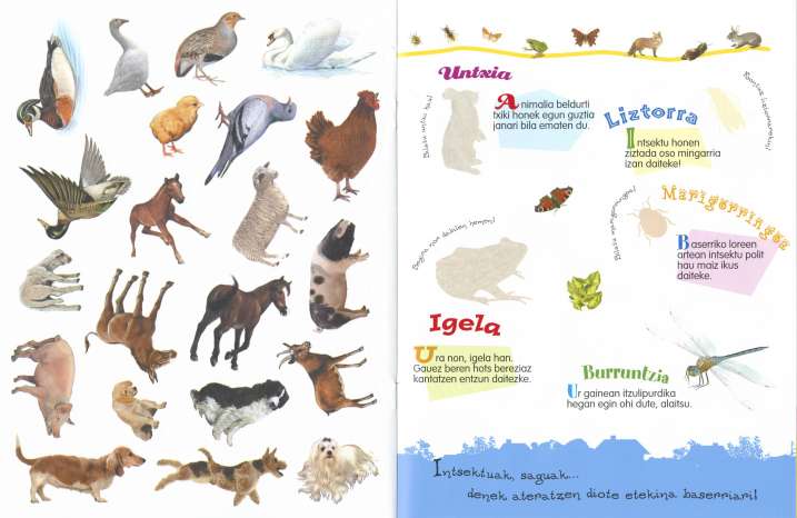 Animaliak eranskailuekin (2...