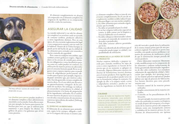 Comida sana para tu perro