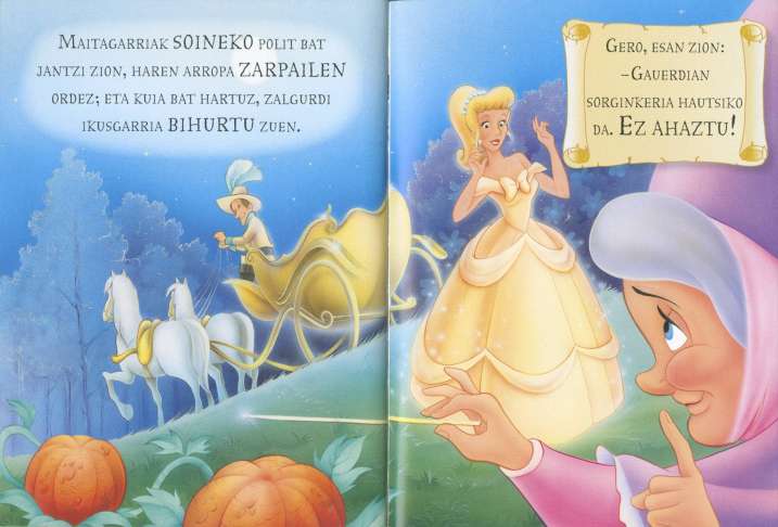 Errauskine-Oihaneko liburua