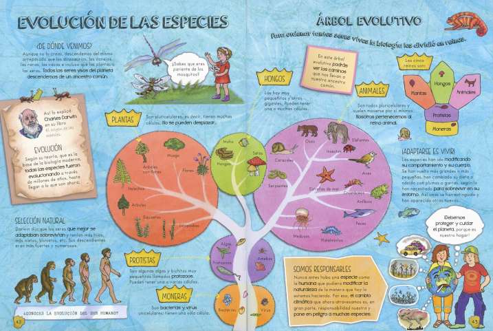 La vida de los dinosaurios