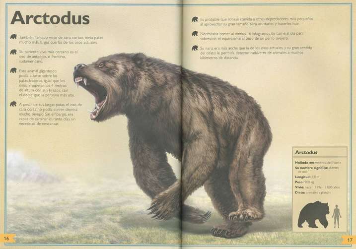 El majestuoso libro de los...