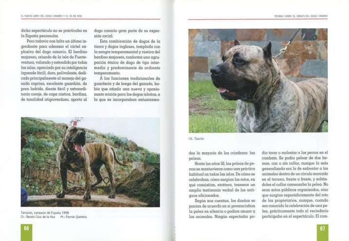 El Dogo Canario y El Ca de Bou