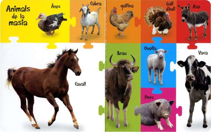 Animals de la masia i del camp