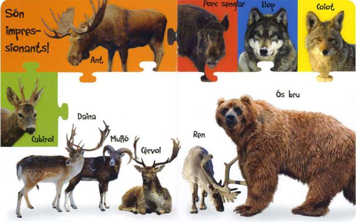 Animals del bosc